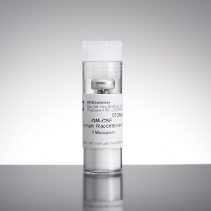 Corning® Granulocyte-Macrophage Colony Stimulating Factors (GM-CSF), Human Recombinant, 1µg, 1/Pack 