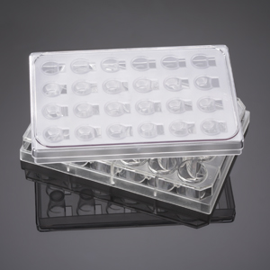 Corning BioCoat BioCoat Fibronectin  HTS 24 Well Multiwell Angiogenesis System with 3.0µm Membrane,已