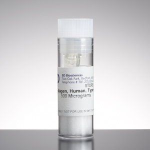 Corning® Collagen VI, Human, 500µg