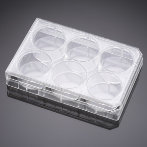 Corning® BioCoat™ Collagen I 6 Well Clear Flat Bottom TC-Treated Multiwell Plate, with Lid, 5/Pack,