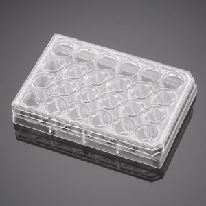 Corning BioCoat Fibronectin Inserts with 0.4µm Polyester (PET) Membrane in two 24 Well Plates, 12/Pa