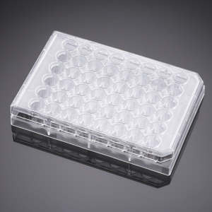 Corning® BioCoat™ Collagen I 48 Well Clear Flat Bottom TC-Treated Multiwell Plate with Lid, 5/Case