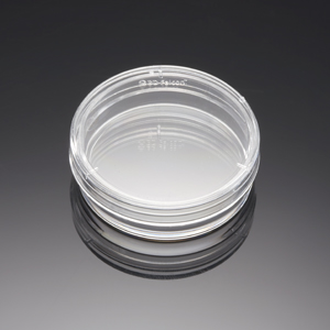 Corning® BioCoat™ Poly-L-Lysine 35mm TC-Treated Culture Dishes, 20/Pack, 20/Case,