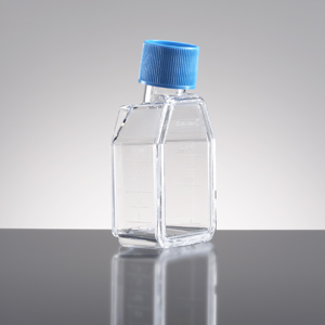 细胞培养瓶 TC表面处理  12.5CM2 25ML 密封盖 斜颈 10个/包,100/箱