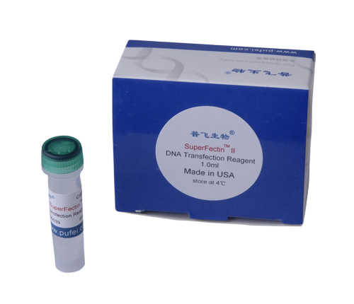 SuperFectin II DNA Transfection Reagent, DNA转染试剂1mL（推荐替代lipofectamine,lipofectamine2000）