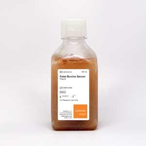 Corning® 500 mL Fetal Bovine Serum, Regular