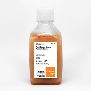 Corning® 500 mL Fetal Bovine Serum, Australia Sourced