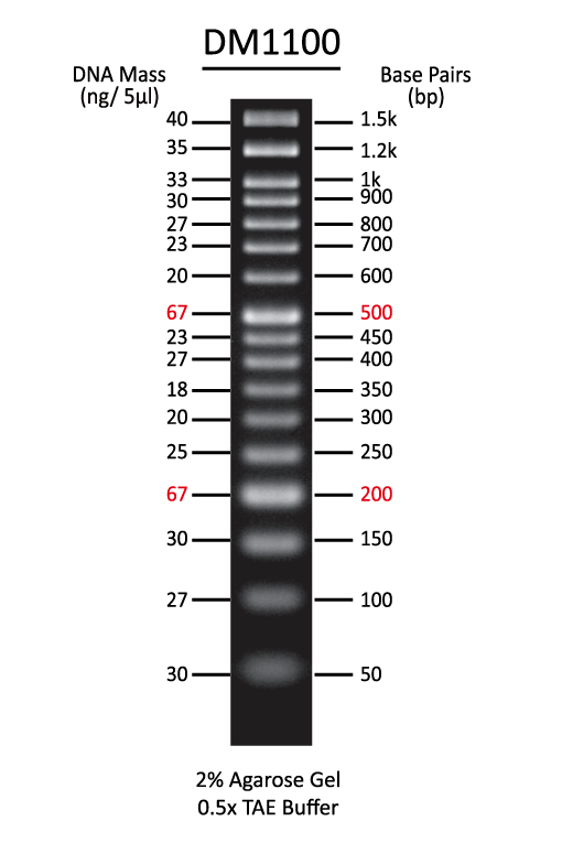 ExcelBand 50 bp DNA Ladder, 500 μl
