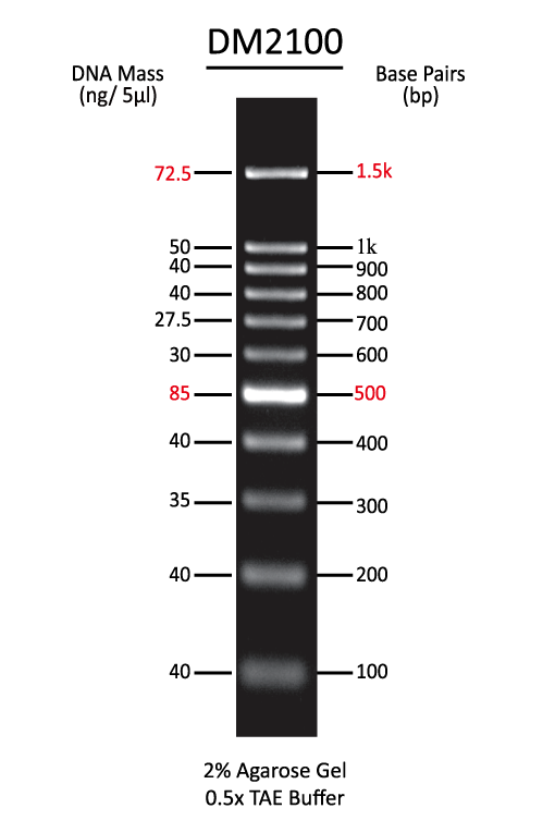 ExcelBand 100 bp DNA Ladder, 500 μl