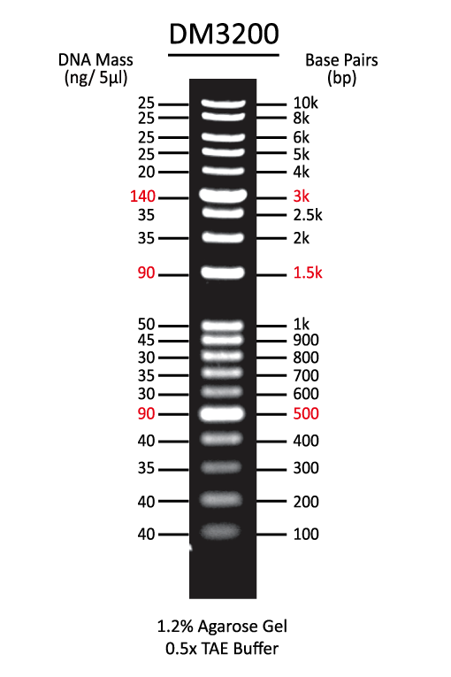 ExcelBand 1KB Plus (0.1-10 kb) DNA Ladder, 500 μl-PF