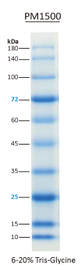 ExcelBand All Blue Regular Range Protein Marker, 250 μl x 2