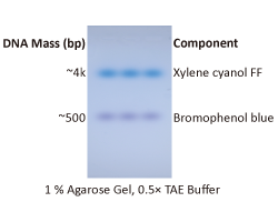 ExcelDye 6X DNA Loading Dye, Blue, 5 ml x 2