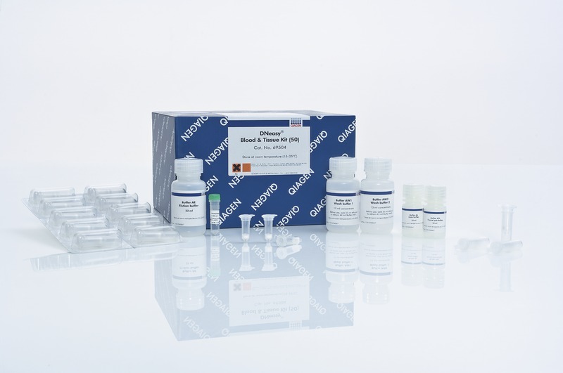 DNeasy Blood & Tissue Kit (50)