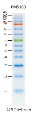 ExcelBand 3-color Pre-stained Protein Ladder High Range, 250 μlx2