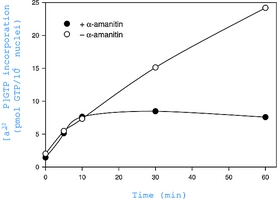 Nuclei Isolation Kit: Nuclei EZ Prep sufficient for 25 nuclei preparations (~1-10×107 cells/preparat