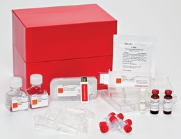 Panorama® Antibody Array-Neurobiology