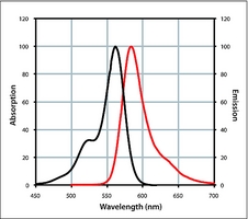 Mix-n-Stain™ CF™ 568 Antibody Labeling Kit (20-50μg)
