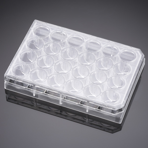 细胞培养板 TC表面处理  24孔 聚苯乙稀 平底 带盖 1P 50个/箱