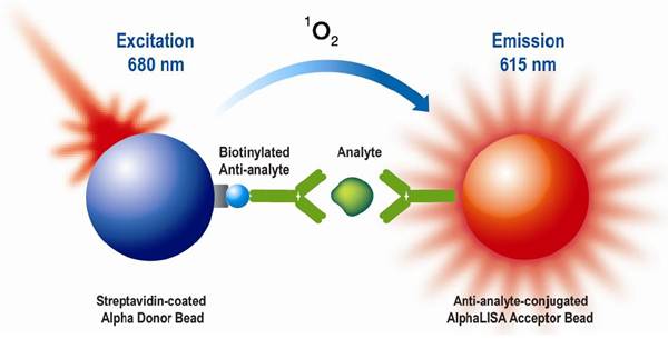 AlphaLISA m/r IL17A kit, 5,000 assay pts