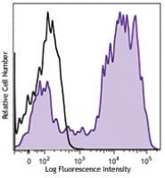 Brilliant Violet 421™ anti-mouse/human CD11b