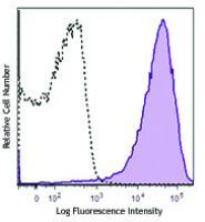 Brilliant Violet 785™ anti-mouse/human CD11b