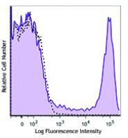 PE/Dazzle™ 594 anti-human CD16