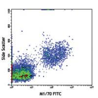 FITC anti-mouse/human CD11b