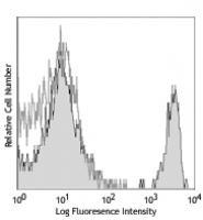 Biotin anti-mouse CD4