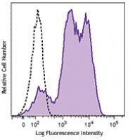 Brilliant Violet 570™ anti-mouse/human CD11b