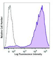 PE/Dazzle™ 594 anti-mouse/human CD11b