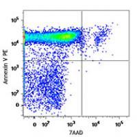 PE Annexin V Apoptosis Detection Kit with 7-AAD