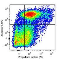 APC Annexin V Apoptosis Detection Kit with PI