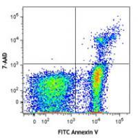 FITC Annexin V Apoptosis Detection Kit with 7-AAD