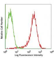 Human T lymphoblastic leukemia cell line, Jurkat, stained with SN1a (M3-3D9) PE PE anti-human CD231 (TALLA)