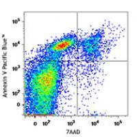 Pacific Blue™ Annexin V Apoptosis Detection Kit with 7-AAD