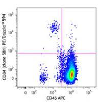PE/Dazzle™ 594 anti-human CD34